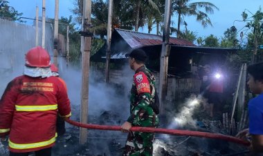 Babinsa Koramil Banjarangkan Turun Tangan Atasi Kebakaran Peternakan Ayam di Desa Timuhun