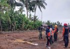 Sertu Agus Pande dan BPBD Lakukan Penebangan Pohon Kelapa Rawan Tumbang di Desa Pasekbali